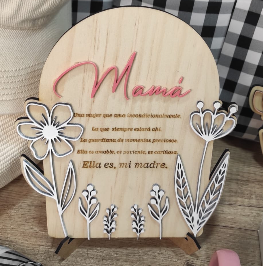 Placa Mamá