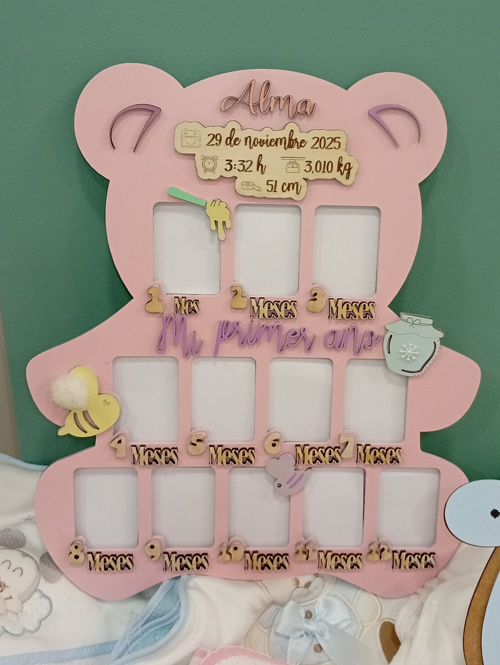 Mi primer año osito