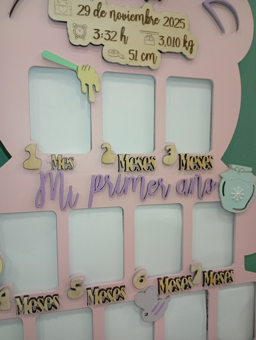 Mi primer año osito